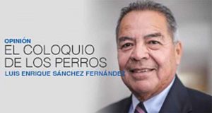 LUIS ENRIQUE SÁNCHEZ FERNÁNDEZ