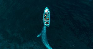 Una ballena blanca empuja una embarcación.
