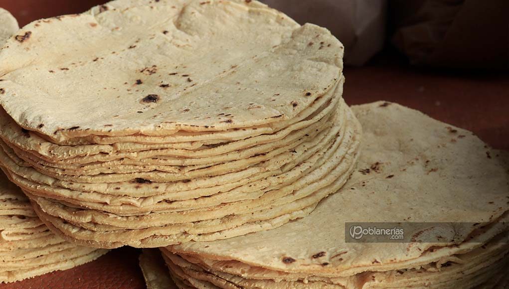 Cuánto cuesta el kilo de tortilla 2020