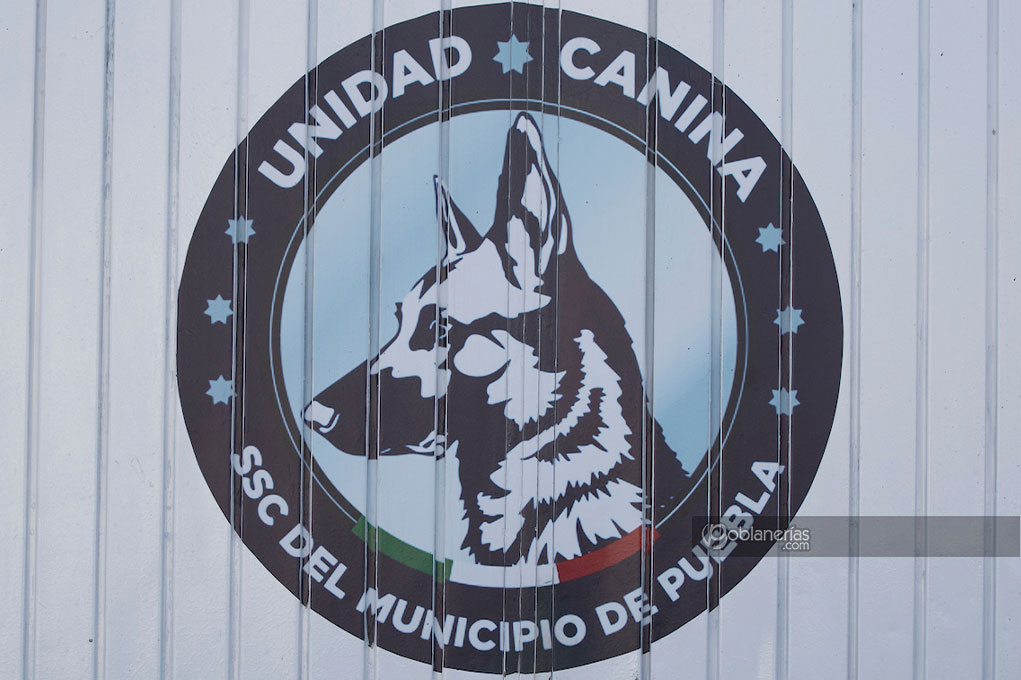 SSC Unidad Canina K9