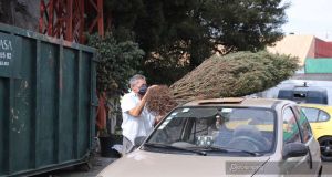 Reciclaje árboles de navidad