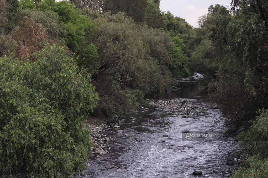 UNAM encuentra concentraciones de arsénico en el Río Atoyac