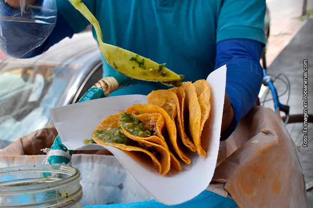 Tacos de canasta Proponen denominación de origen 2023