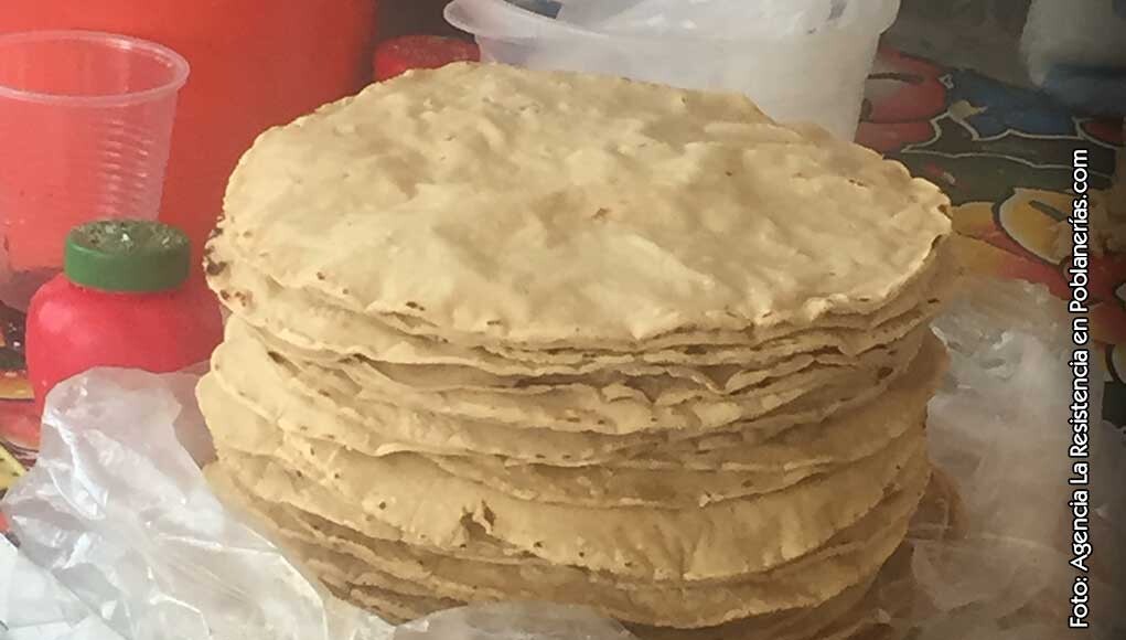 Tortillas hechas a mano con maseca así se elaboran